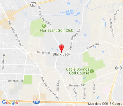 logo-image - black-jack-mo